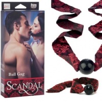 Кляп-рамка Scandal Open Mouth Gag with Clamps с зажимами на соски se-2712-12-3 