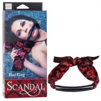 Кляп-рамка Scandal Open Mouth Gag with Clamps с зажимами на соски se-2712-12-3 